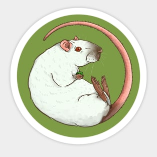 Seal Point Pet Rat Illustration Sticker